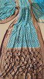Sky Blue Pure Banarasi Handloom Khaddi Georgette Saree- Water Zari