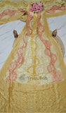  Banarasi Handloom Khaddi Georgette Saree With Water- Multi -Truth Fab