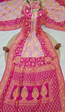 2D Shade Pure Banarasi Handloom Khaddi Chiffon Gold Zari Design Saree