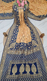 2D Shade Banarasi Handloom Chiffon Saree - Truth Fab
