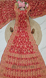 Ruby Red Pure Banarasi Handloom Chiffon Saree