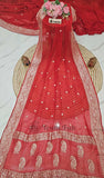 Red Color Pure Banarasi Handloom Chiffon Saree