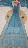 Azure Blue Banarasi Handloom Khaddi Chiffon Zari Saree - Truth Fab 