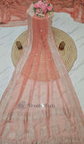 Peach Color Pure Banarasi Handloom Chiffon Saree