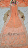 Apricot Orange Pure Banarasi Handloom Chiffon Saree