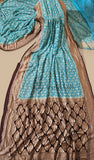 Sky Blue Pure Banarasi Handloom Khaddi Georgette Saree- Water Zari