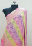 Multi Colour Pure Banarasi Handloom Khaddi Georgette Dupatta